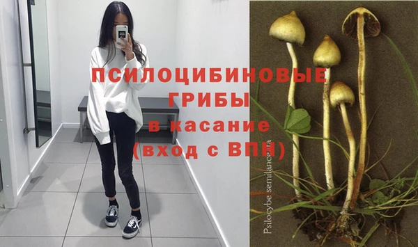ГАЛЛЮЦИНОГЕННЫЕ ГРИБЫ Алексеевка