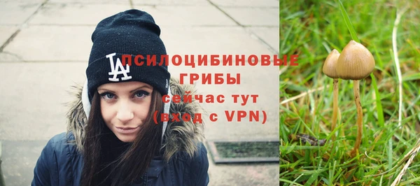 ГАЛЛЮЦИНОГЕННЫЕ ГРИБЫ Аркадак